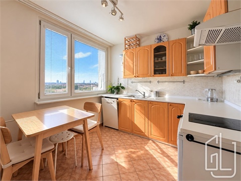 Prodej bytu 1+1, 36 m² - 4