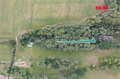 Prodej lesu, 281 m² - 0