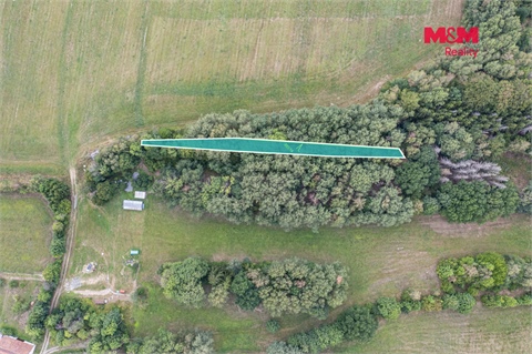 Prodej lesu, 715 m² - 0