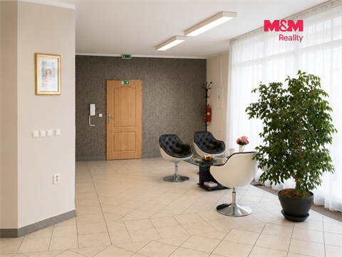 Pronájem obchodních prostor, 146 m² - 0