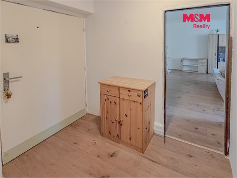 Pronájem bytu 1kk, 30 m² 4