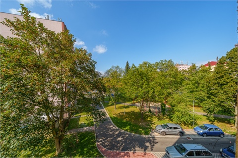 Pronájem bytu 2+1, 56 m² 14