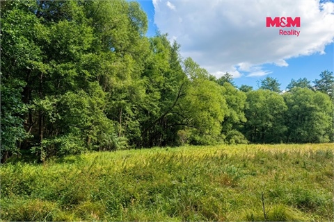 Prodej louky, 10 113 m² 6