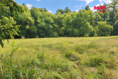 Prodej louky, 10 113 m² 4