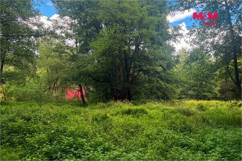 Prodej louky, 10 113 m² 16