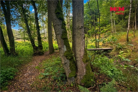 Prodej louky, 10 113 m² - 14