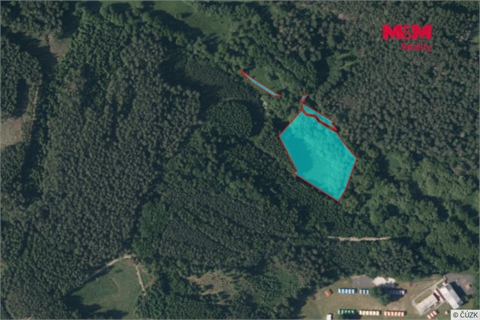 Prodej louky, 10 113 m² 10