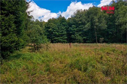 Prodej louky, 10 113 m² - 16