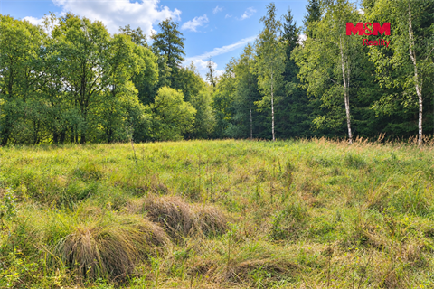 Prodej louky, 10 113 m² 2
