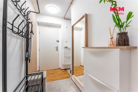Prodej bytu 1+1, 46 m² 12