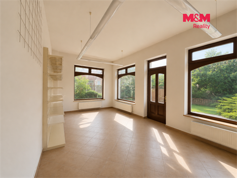 Pronájem obchodních prostor, 24 m² 4