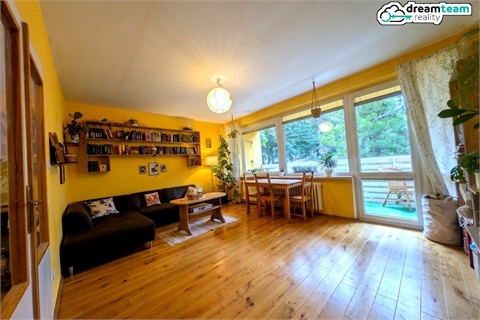 Pronájem bytu 3+1, 75 m² - 0