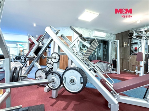 Prodej obchodních prostor, 276 m² 6