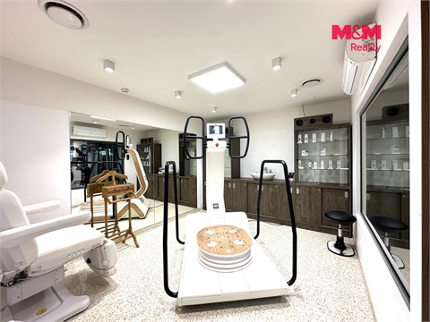 Prodej obchodních prostor, 276 m² - 2