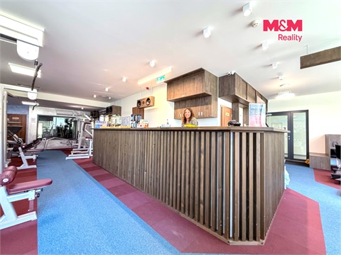Pronájem obchodních prostor, 276 m² - 0