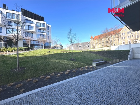 Pronájem obchodních prostor, 276 m² - 8