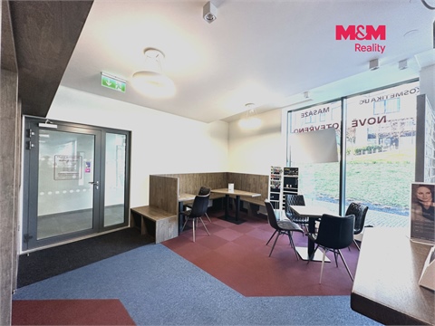 Pronájem obchodních prostor, 276 m² 4