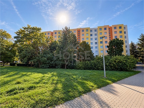 Prodej bytu 1kk, 29 m² - 14