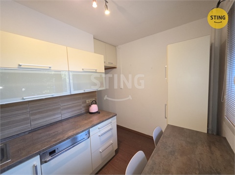 Pronájem bytu 3+1, 74 m² - 10