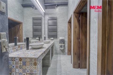 Prodej obchodních prostor, 952 m² 6
