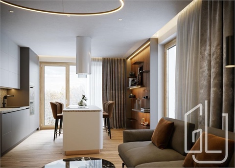 Pronájem bytu 2kk, 55 m² 4