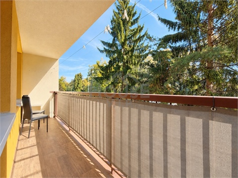Prodej bytu 1kk, 26 m² - 4