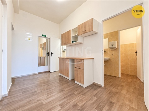 Pronájem obchodních prostor, 115 m² - 6