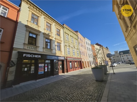 Pronájem obchodních prostor, 115 m² - 14