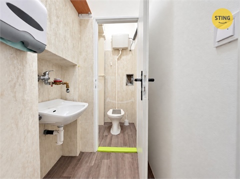 Pronájem obchodních prostor, 115 m² 12