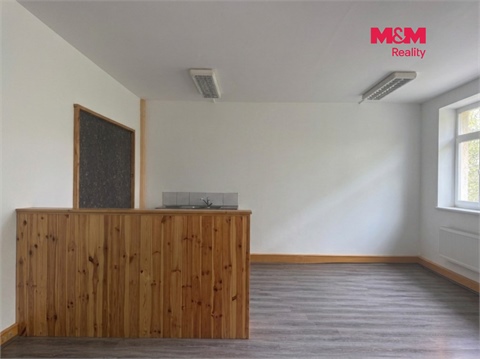 Pronájem obchodních prostor, 40 m² - 4