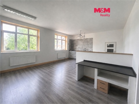 Pronájem obchodních prostor, 40 m² - 0
