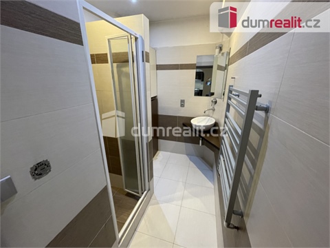 Pronájem bytu 2+1, 60 m² 10