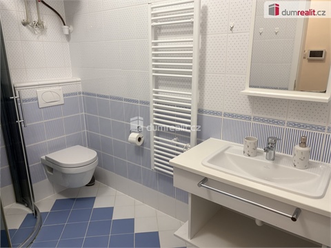 Pronájem bytu 1kk, 26 m² - 4
