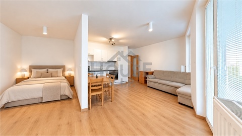 Prodej bytu 1kk, 54 m² 0