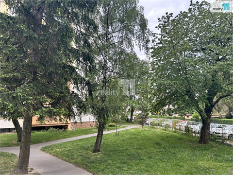 Prodej bytu 3+1, 73 m² - 28