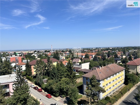 Prodej bytu 3+1, 73 m² 22