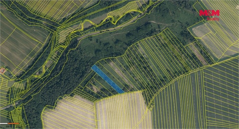 Prodej lesu, 4 377 m² 2