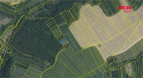 Prodej lesu, 4 377 m² - 2