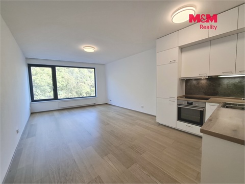 Pronájem bytu 1kk, 41 m² - 0