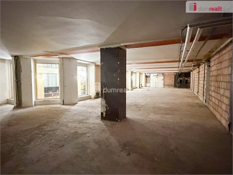 Pronájem obchodních prostor, 800 m² - 8