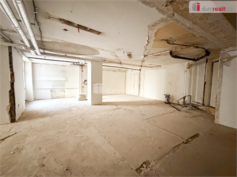 Pronájem obchodních prostor, 800 m² - 0