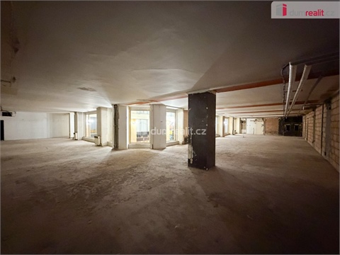 Pronájem obchodních prostor, 800 m² 10