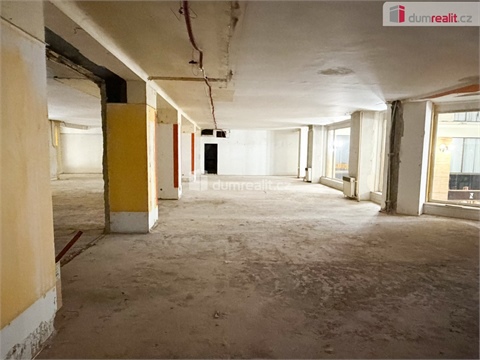 Pronájem obchodních prostor, 800 m² - 6