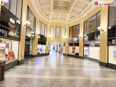 Pronájem obchodních prostor, 800 m² - 14