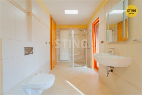 Prodej rodinného domu, 270 m² - 10
