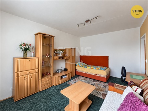 Pronájem bytu 1+1, 38 m² - 16
