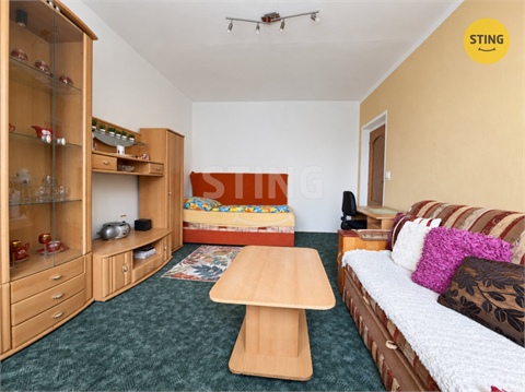Pronájem bytu 1+1, 38 m² 14