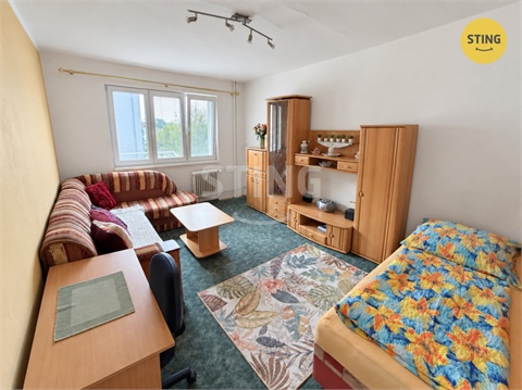 Pronájem bytu 1+1, 38 m² 2