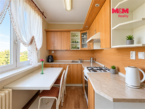 Prodej bytu 2+1, 53 m² 6