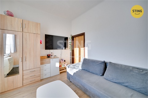 Prodej bytu 2+1, 47 m² - 4
